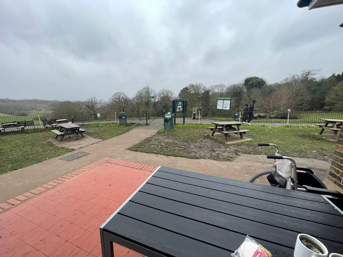 My Local Park Is/Not Amazing