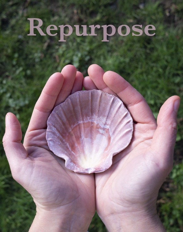 Repurpose