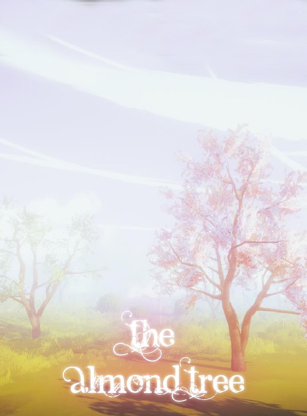 The Almond Tree